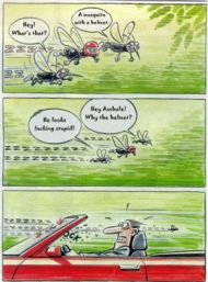 always wear a helmet